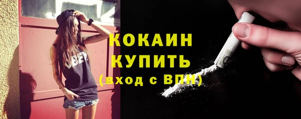шишки Вязьма