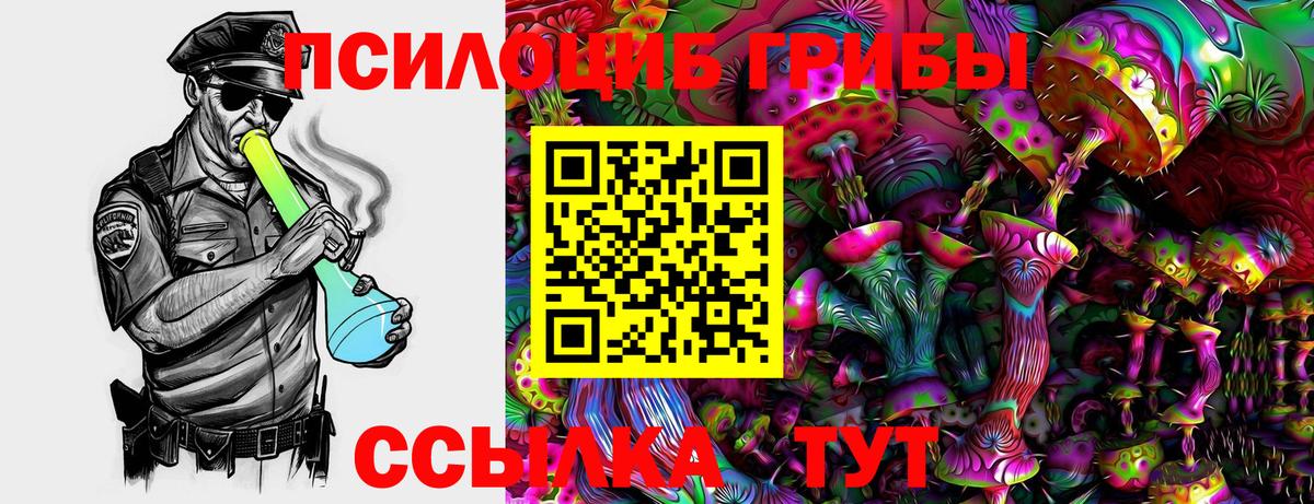 Тюмень  Псилоцибиновые грибы Cubensis  Вход с VPN 