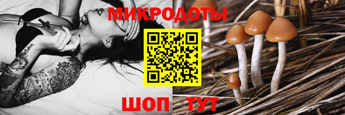 Галлюциногенные грибы прущие грибы Тюмень
